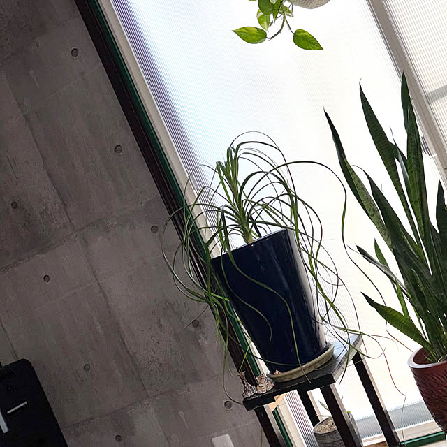 omasaさんの部屋