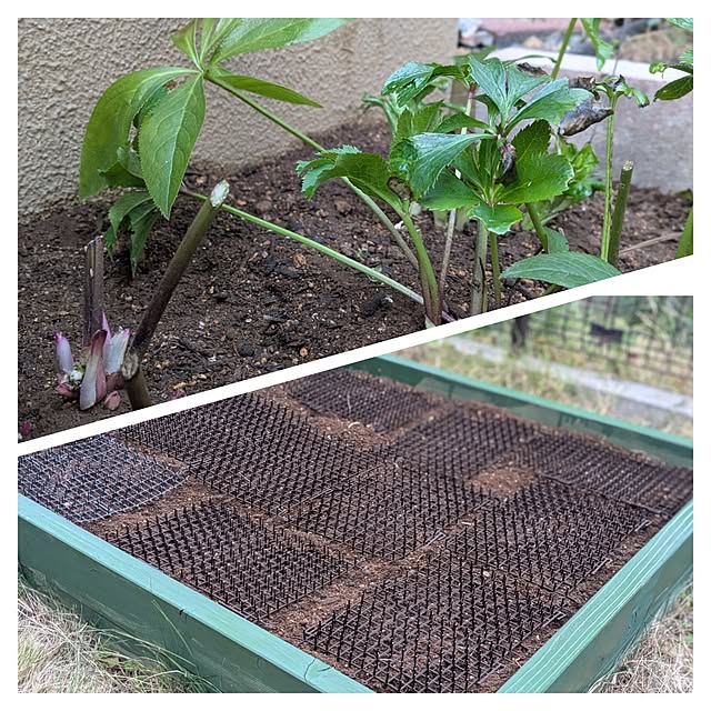 reeさんの実例写真