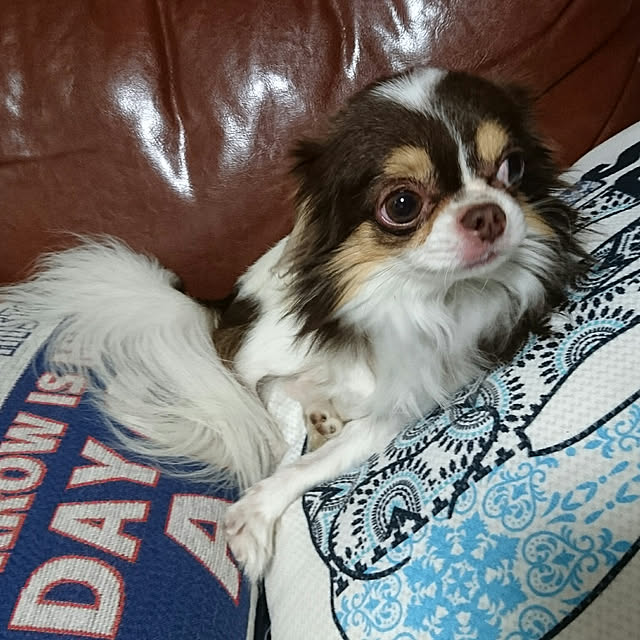 berry.さんの実例写真