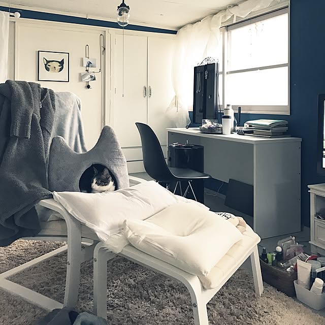 Shihoさんの実例写真
