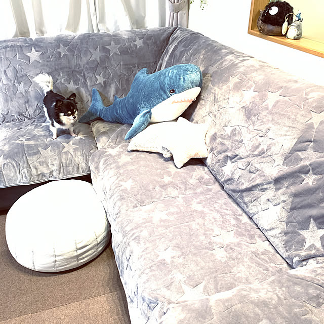 eriさんの実例写真