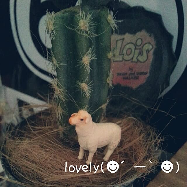 yuriさんの実例写真