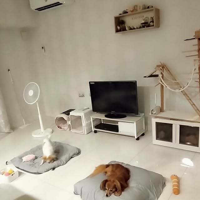 toratanさんの実例写真