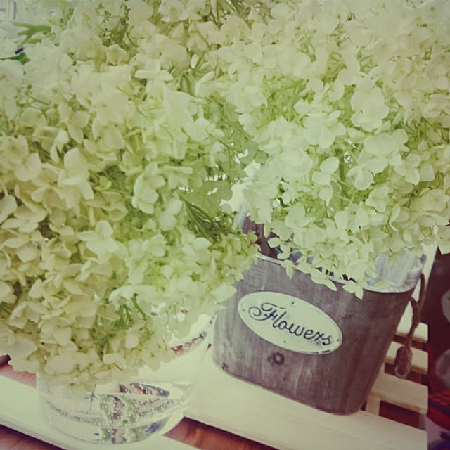 nao0602さんの実例写真