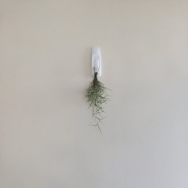 roomicさんの実例写真
