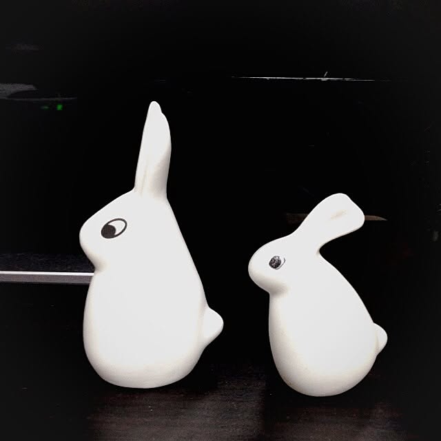 sapiさんの実例写真