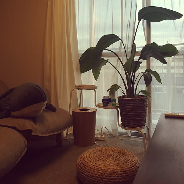 june8さんの実例写真