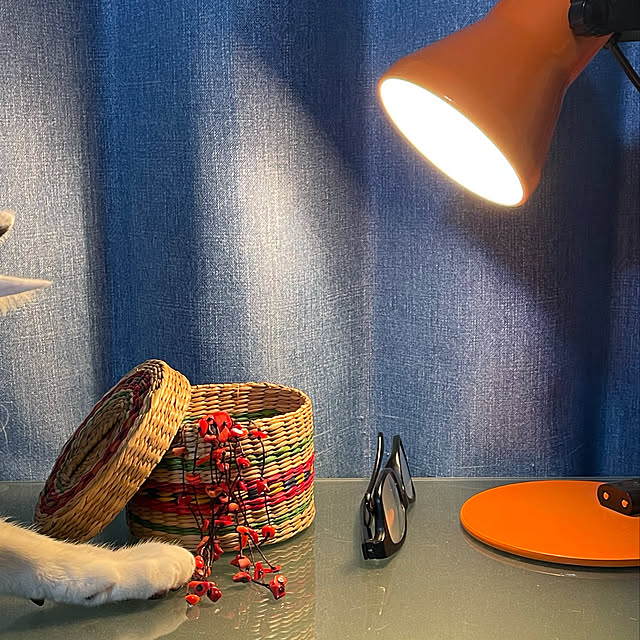 nobikoさんの実例写真
