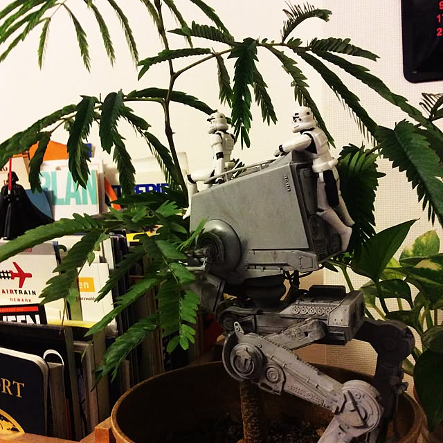 nori0710kさんの実例写真