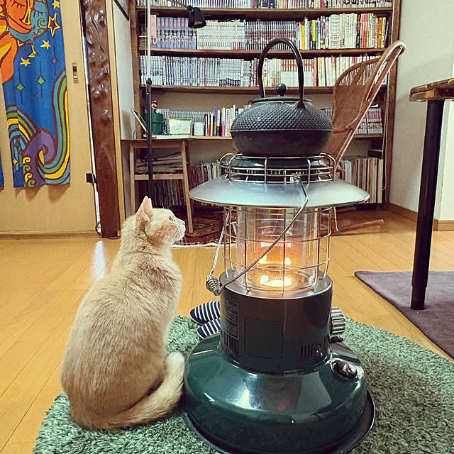 mikan161さんの部屋