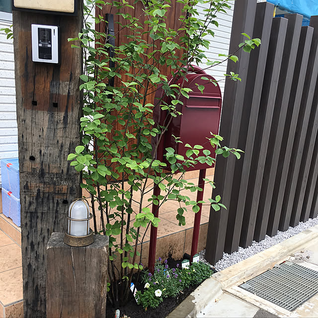 Sayakaさんの実例写真