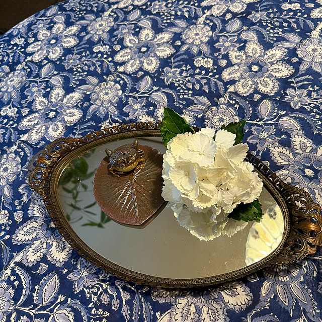 mamizaさんの部屋