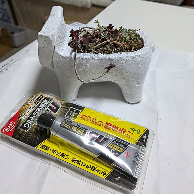 mori_6_12さんの部屋