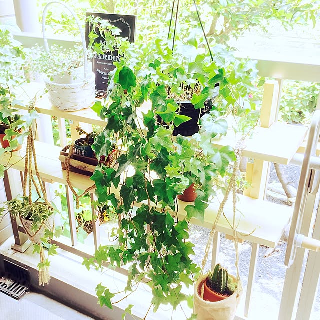 棚/観葉植物/ナチュラル/DIY/北欧...などのインテリア実例 - 2016-05-31 13:53:20