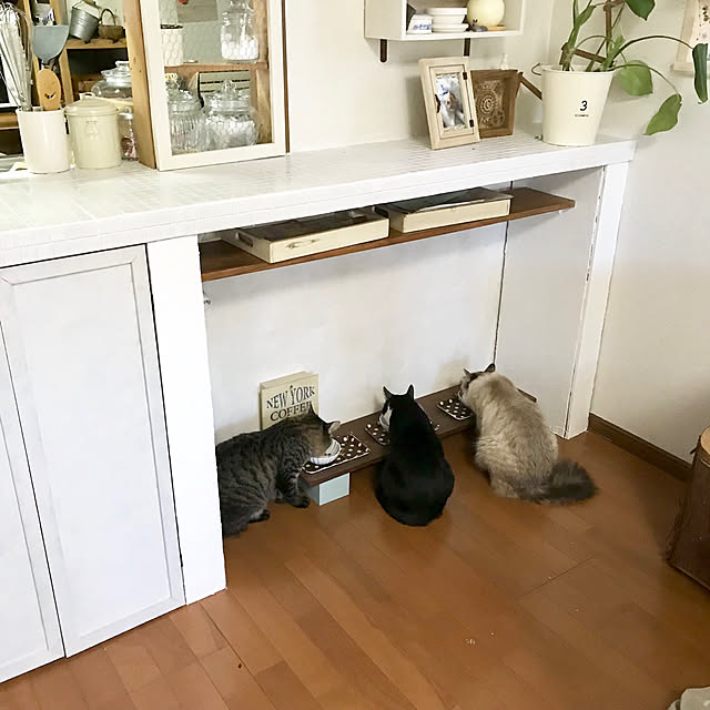 kazaneさんの実例写真