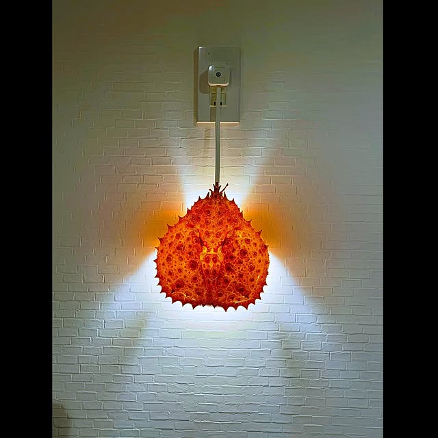 sixflagsさんの実例写真