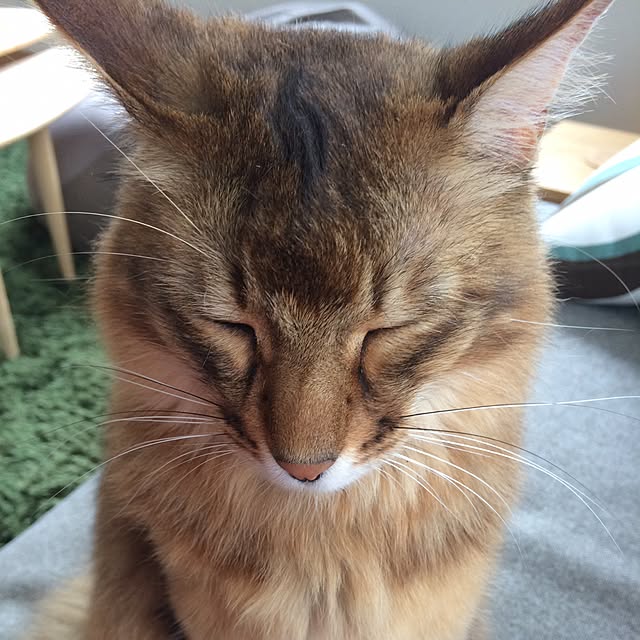 Yumiさんの実例写真