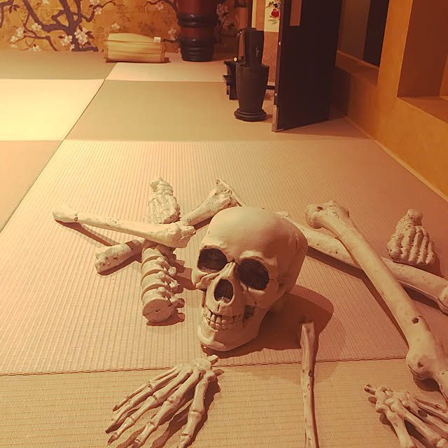 cyborg69さんの実例写真