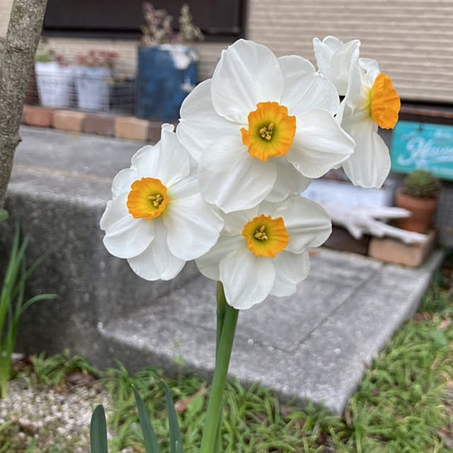 min_nimさんの実例写真