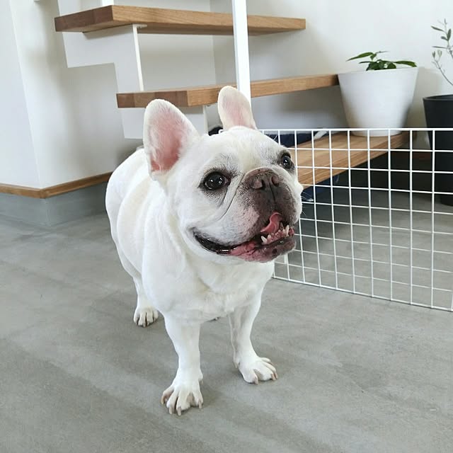 J.U.N.さんの実例写真