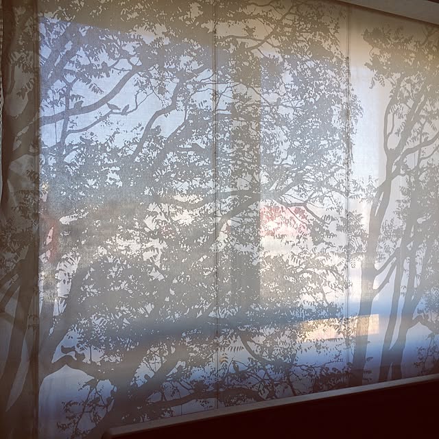 umeさんの実例写真