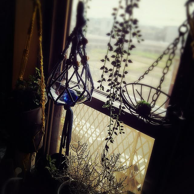 Tillandsiaさんの実例写真