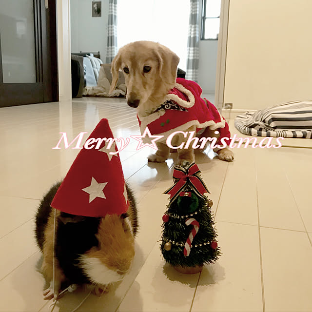 Browncafeさんの実例写真