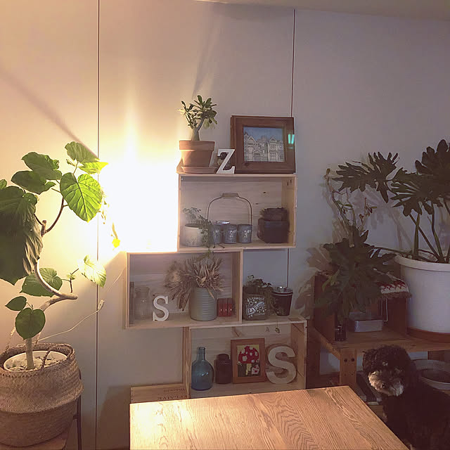 Seikoさんの実例写真
