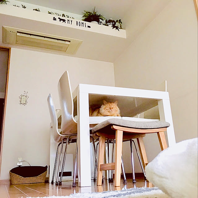 Ryokoさんの実例写真