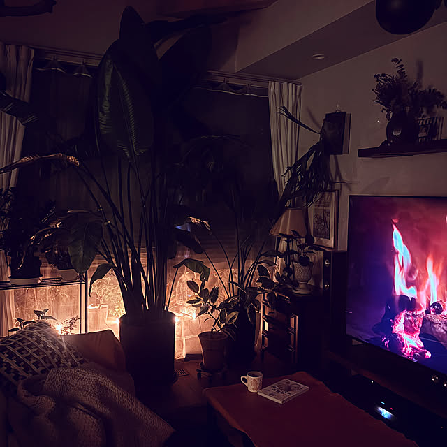 ymymcurryさんの実例写真