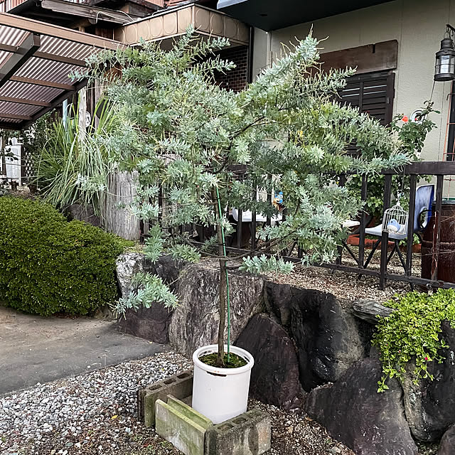 shin0719さんの実例写真