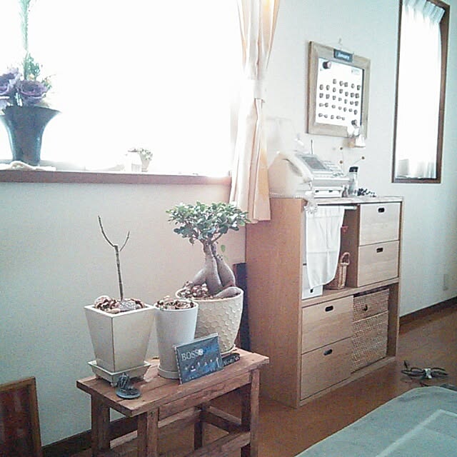 satokotokoさんの実例写真
