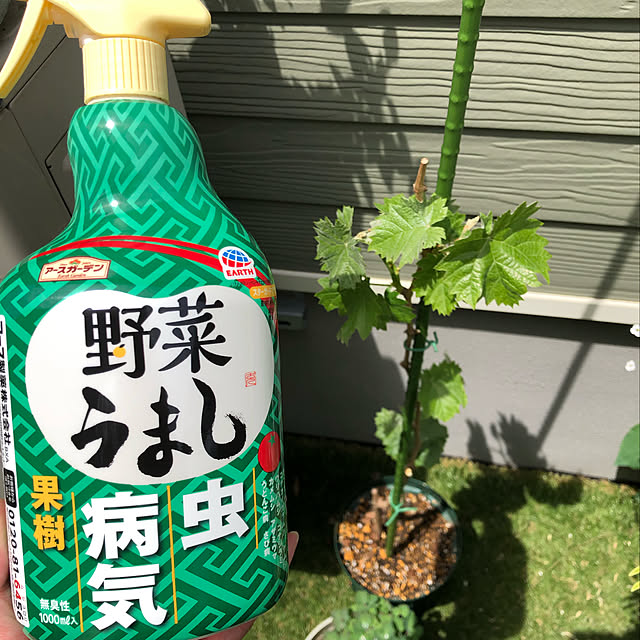 yukiminさんの実例写真
