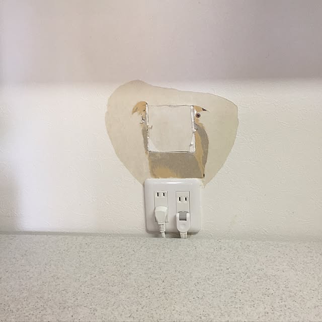 ksaitoksaitoさんの実例写真