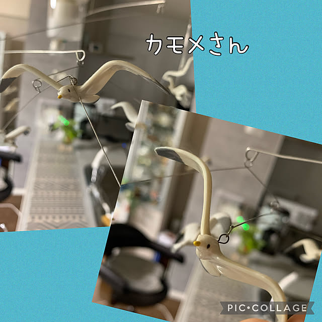 Aqettyさんの部屋