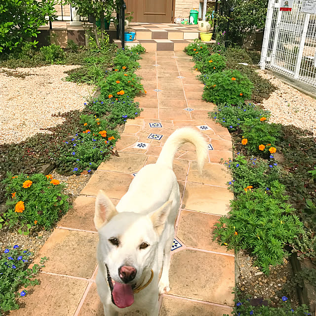 meさんの実例写真