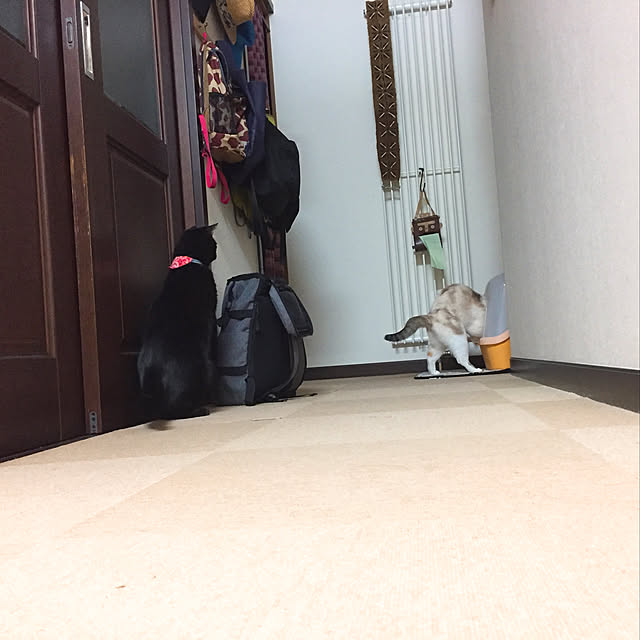 nanaさんの実例写真