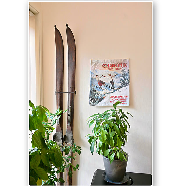 mikigumaさんの部屋