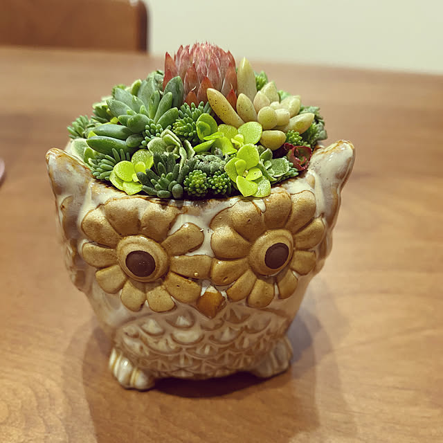 okapiさんの部屋