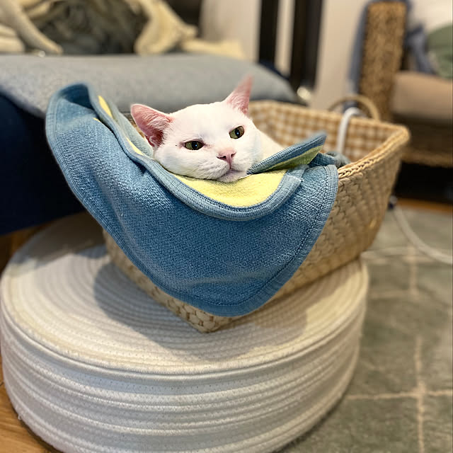 hanaさんの実例写真