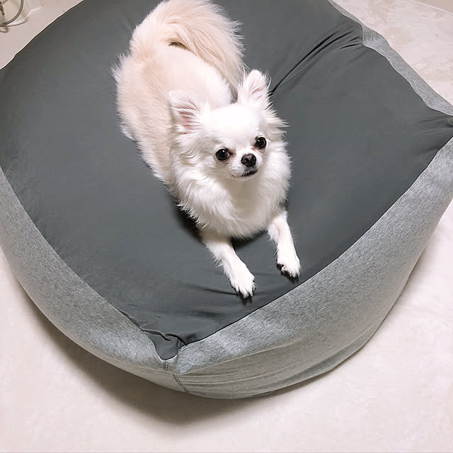 omochi290409さんの実例写真