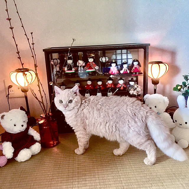 naokoさんの実例写真