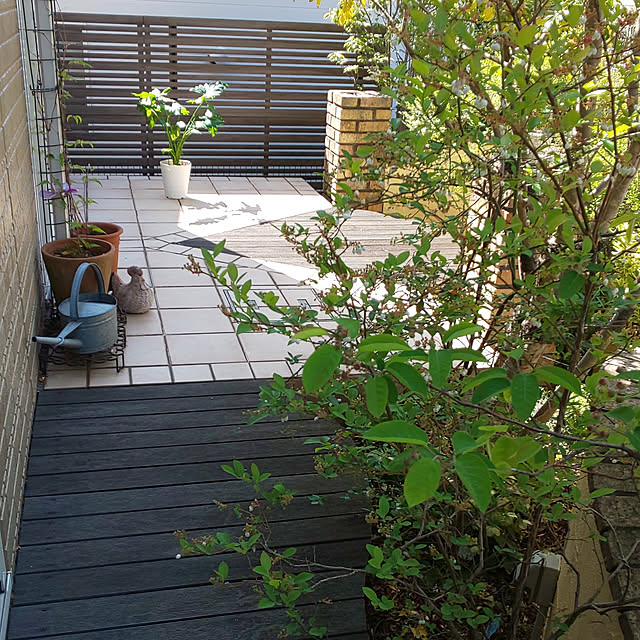 izumiさんの実例写真