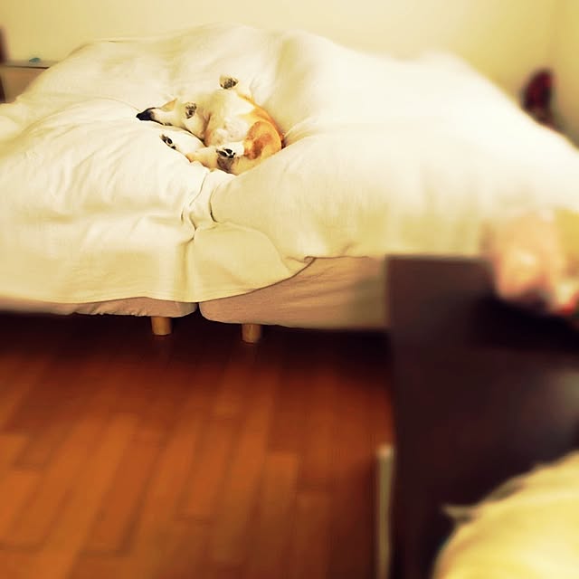 noraさんの実例写真