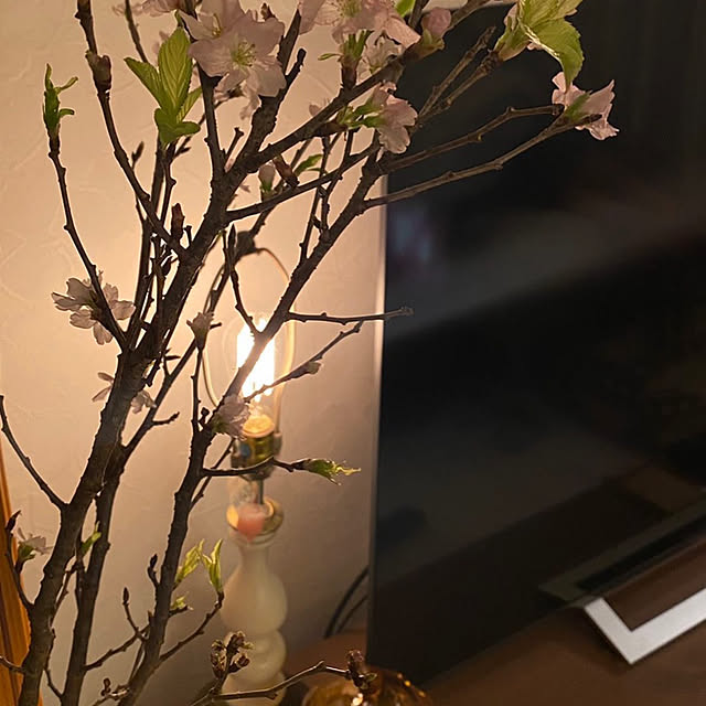 yoshirinさんの実例写真