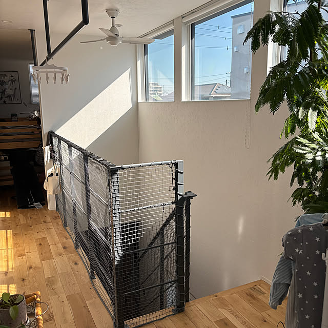 Minteaさんの実例写真