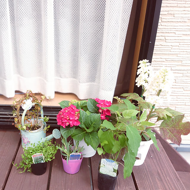 kao.kaoさんの実例写真