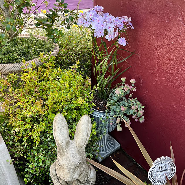 AYUKOさんの実例写真