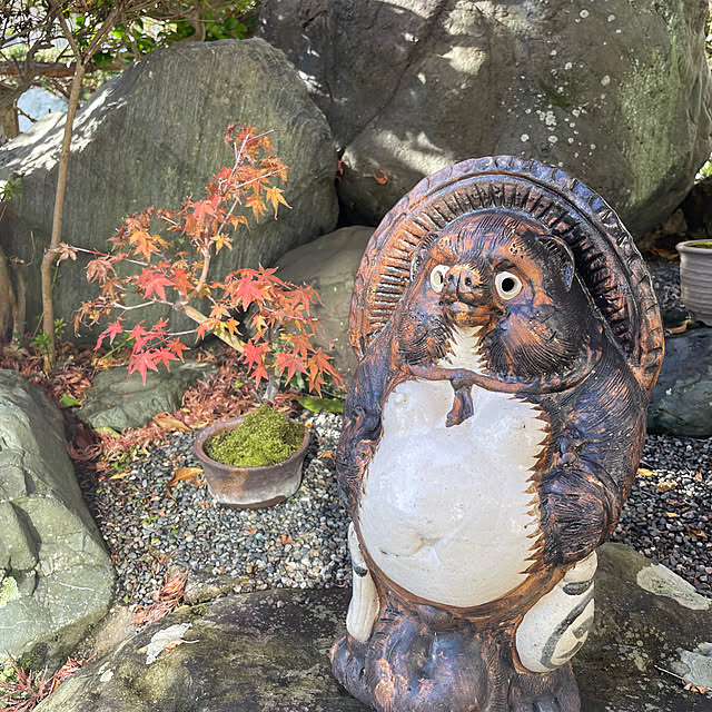 shin0719さんの実例写真