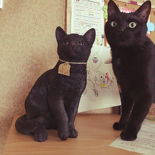 OKANさんの実例写真